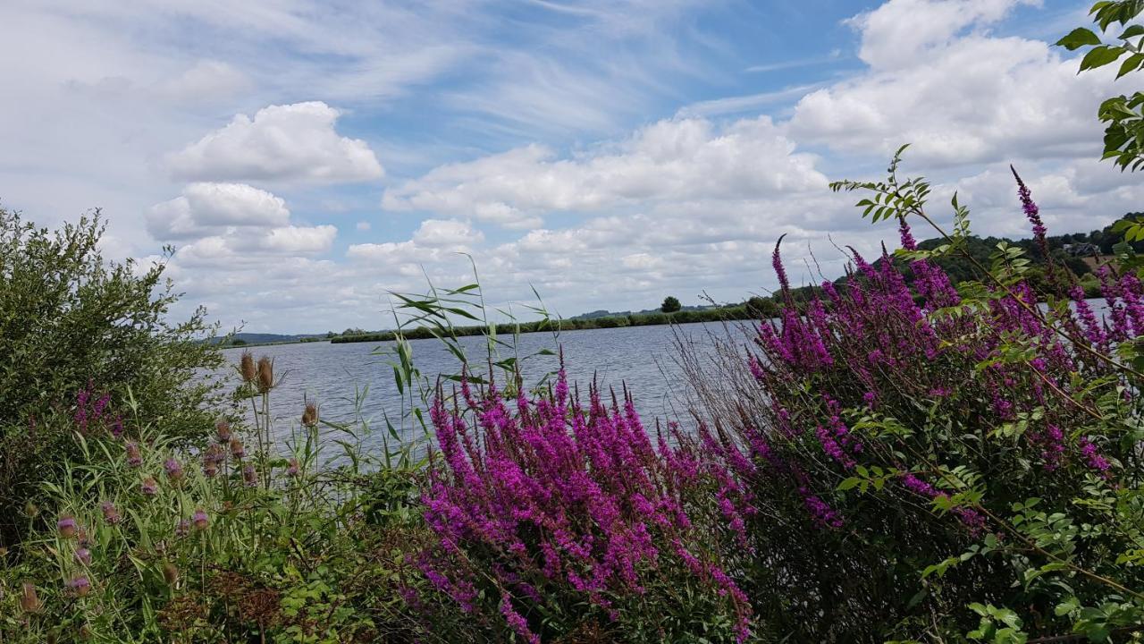 Belle Visnonia Meuble De Caractere Sud Morbihan Béganne エクステリア 写真