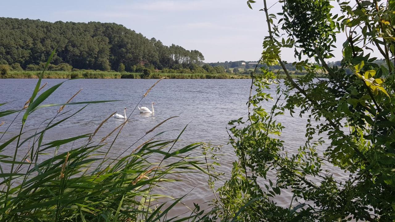 Belle Visnonia Meuble De Caractere Sud Morbihan Béganne エクステリア 写真